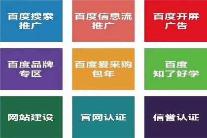 SEM竞价代运营：案例展示精准营销效果